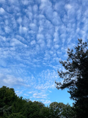 Obraz premium Beautiful Korean summer sky