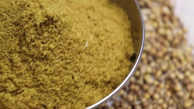 Coriander Powder or cumin powder or  Garam masala or spice powder rotate in side shot 4k footage. Spice concept. Pile of coriander seeds. 

