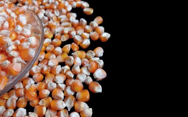Close up of corn kernels can be used as background.