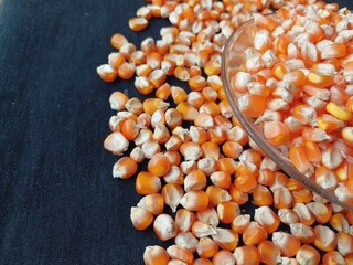 Close up of corn kernels can be used as background.
