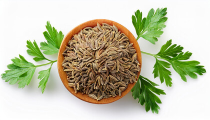 Cumin seeds on isolated background with green cumin leaves 