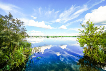 Landscape at the Feilenmoos local recreation area. Bathing lake between Manching and Geisenfeld. Nature at the quarry lake.
