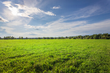 A large, open field with a clear blue sky