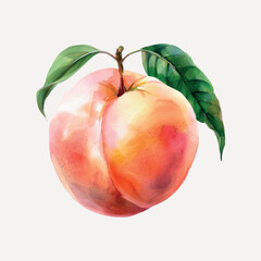 Watercolor peach with green leaves
