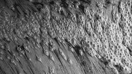 Water contaminated with toxic waste.