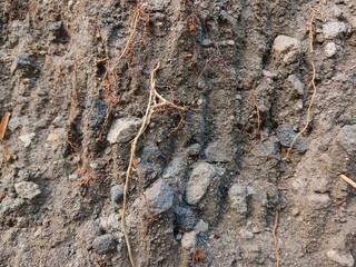 Sand ground background. Sand soil