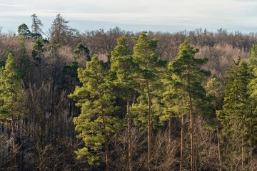 Schönbuch Nature Park in the Stuttgart Region