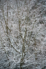 Sch&ouml;nbuch Nature Park in the Stuttgart Region