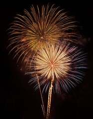 Obraz premium new year Fireworks 