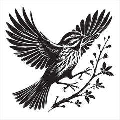 Obraz premium Song sparrow silhouette, Melospiza Melodia Clipart, Song Sparrow in mid flight Illustration