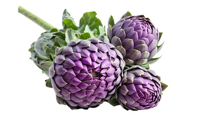 Fresh Artichokes isolated on white background