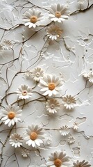 White Daisy Flowers on White Textured Background.