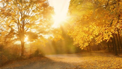 Obraz premium autumn landscape 