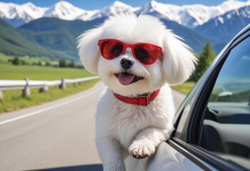 A dog with long fur wearing sunglasses sticking its head out of a car window