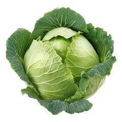 Fresh green cabbage vegetable isolated against transparent background. Food and plant concept