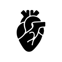 Heart Organ