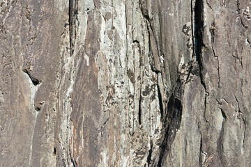 Rock texture, close-up. Beautiful photo wallpaper.