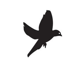 dove of peace