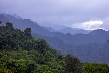 Naklejka premium Lush green mountain landscape with trees and mist after rain. The vibrant greenery of the mountain layers contrasts beautifully with the soft ethereal fog.