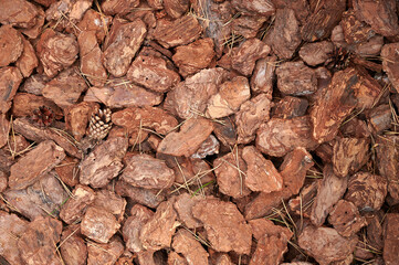 Tree bark as a decorative element of a country space. Tree bark with cones and spruce needles.