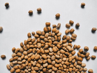 red cowpea isolated on white background. Vigna unguiculata is scientific name of Cowpea legume....
