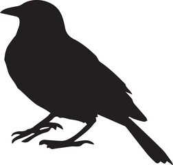 crow Vector on a white background
