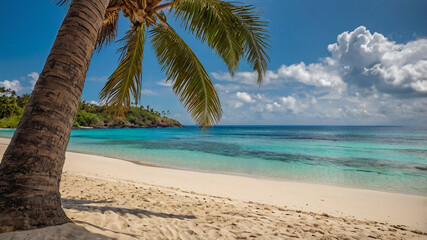 Obraz premium tropical beach with palm trees