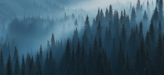 Poster Misty forest. Foggy mountains. Misty spruce landscape banner