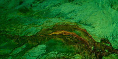 Lively Psychedelic Patterns and Get Lost in an Abstract Masterpiece of Colors and Shapes