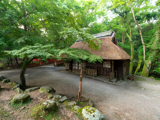 奈良公園に建つ茅葺きの屋根の茶屋と鹿