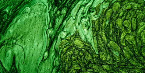 Lively Psychedelic Patterns and Get Lost in an Abstract Masterpiece of Colors and Shapes