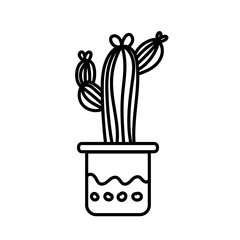 Cactus Line Han Drawn