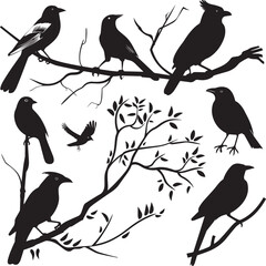 birds on a branch
