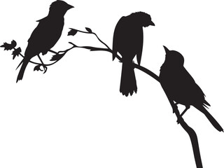 silhouette of a bird
