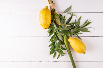 Green willow branches, palm branches, citrus fruits on a white wooden background. The concept of...