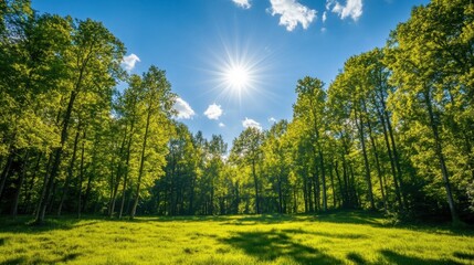 Lush green forest thriving under renewable energy sources and clear blue skies