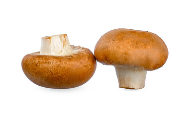 Champignon mushroom isolated on white background