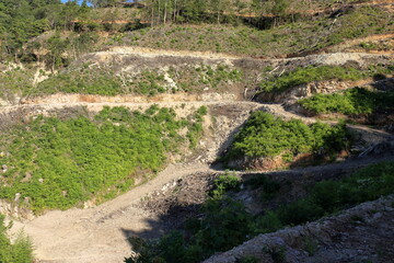森林工事で造られた重機用の道