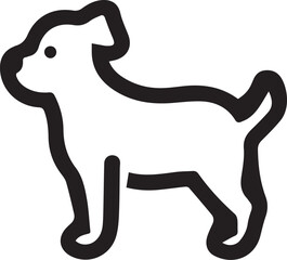 black and white dog