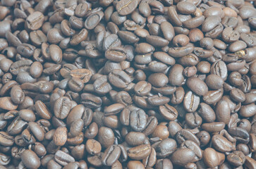 Brown roasted coffee beans seeds isolated  coffee bean isolate  white background  bean isolated on white