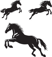 black and white horse