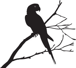 silhouette of a bird