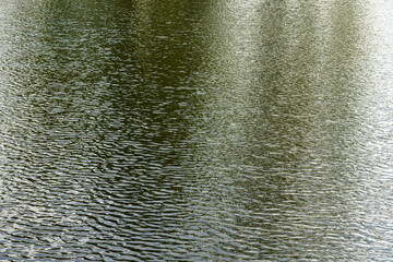 The texture of ripples on the water in a pond illuminated by the setting sun. Natural background.
