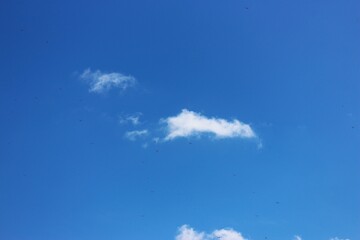 white cloud with blue sky background