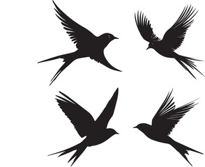 Set of  Flying Swallow Silhouette Vector 