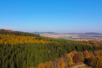 Autumn Forest Aerial View: Tranquil Scenic Landscape for Nature Lovers and Travel Posters
