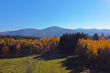 Naklejka premium Autumn Forest Landscape with Mountain View: Scenic Nature Background for Posters and Prints
