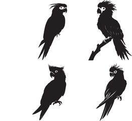Cockatoo Silhouette vector art illustration