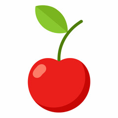 cherry on a branch vector