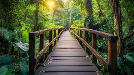 Obraz premium The largest tropical rainforest in the world Filled with rare wildlife and lush greenery. Tourists like to come for adventure and see nature.